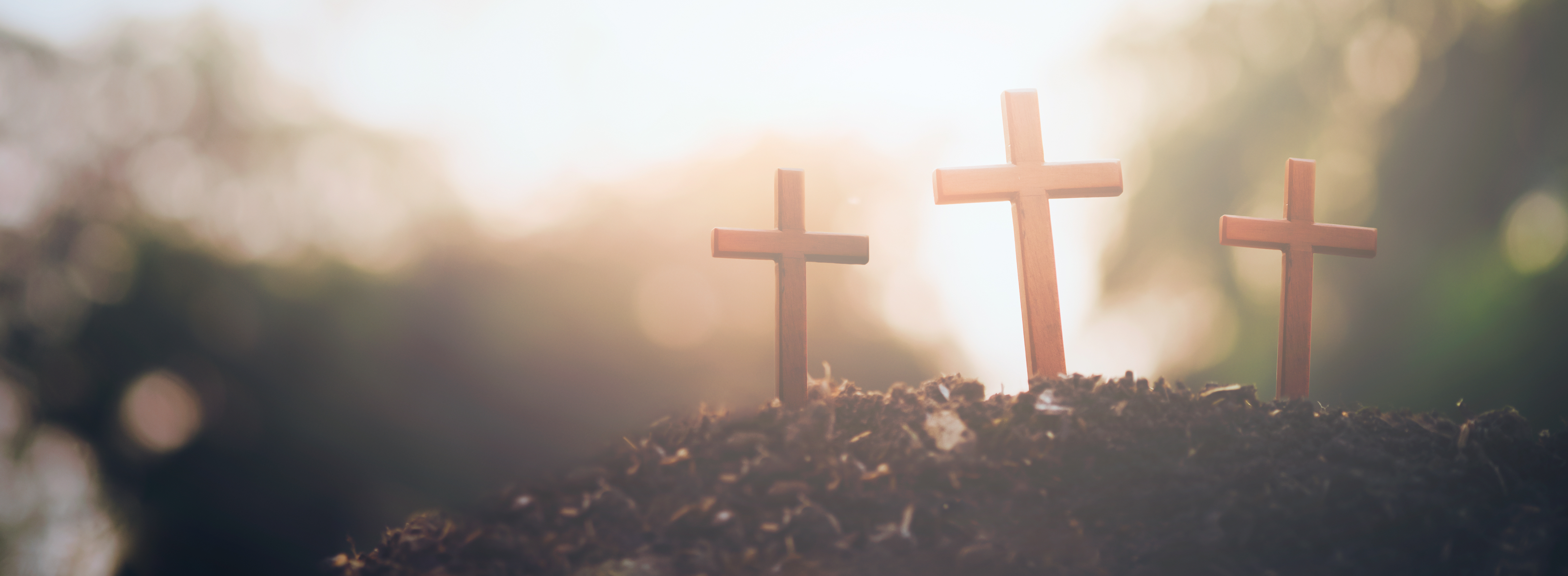 appstore Cover Image